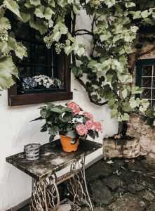 Ankommen - Wohlfühlen - Loslassen