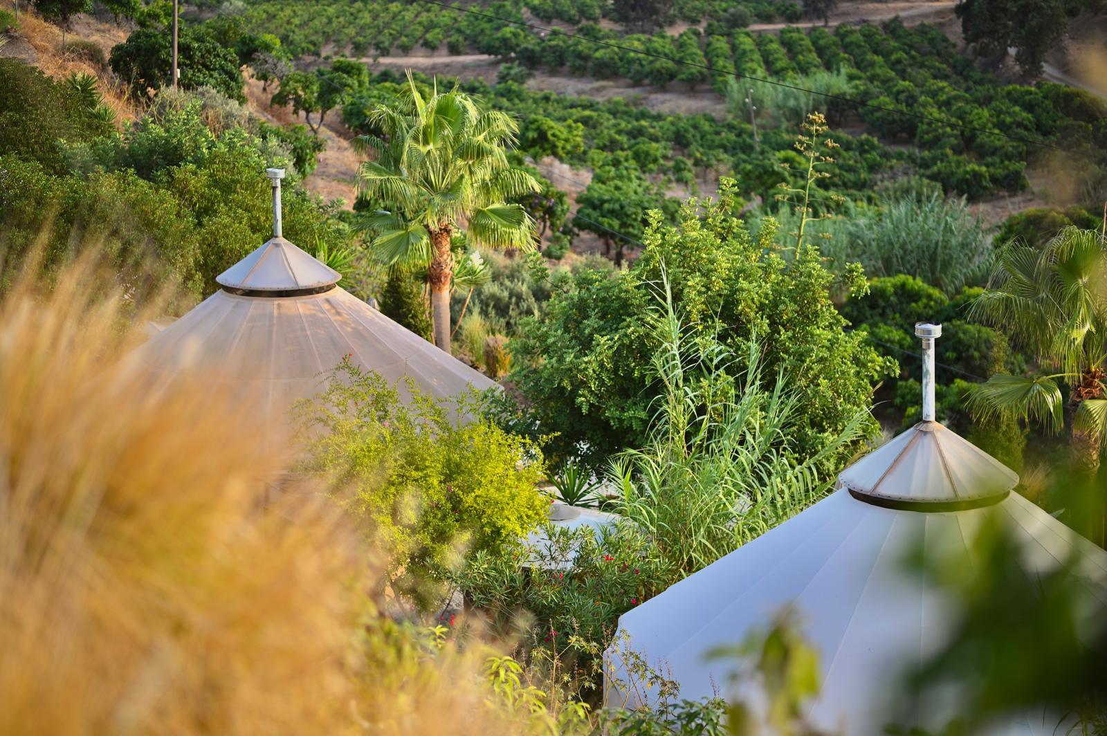 Atmen. Loslassen. Werden.