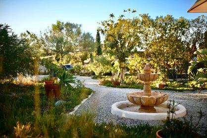 Atmen. Loslassen. Werden.